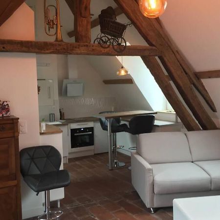 La Terrasse Du Chevalier D'Eon - Loft A Tonnerre Apartman Kültér fotó